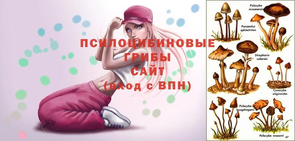 MDMA Premium VHQ Волоколамск