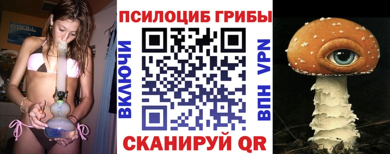 Псилоцибиновые грибы Cubensis  Гагарин 