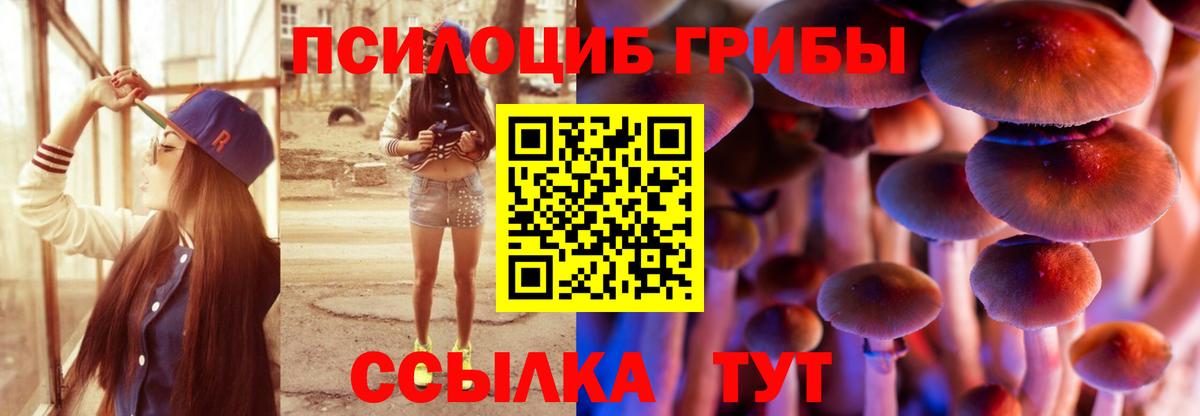 Псилоцибиновые грибы прущие грибы  Вход с VPN  Гагарин 